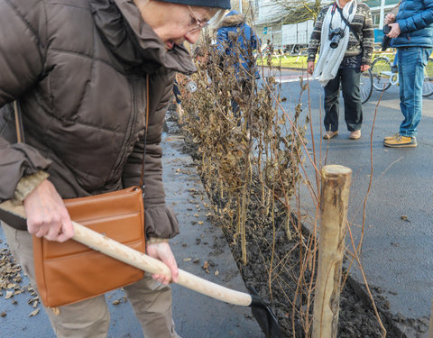 'Plant your Campus' op Campus Sterre