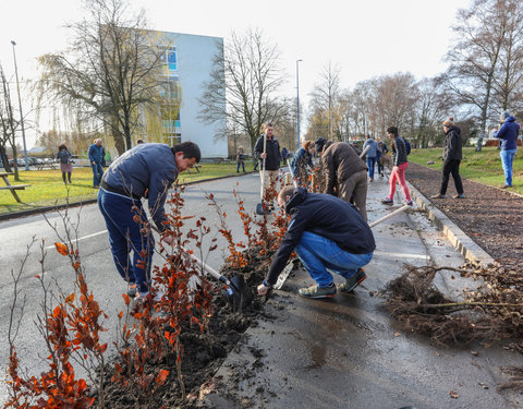 'Plant your Campus' op Campus Sterre