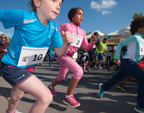 Watersportbaanloop voor Vlaamse bedrijven 2015-52199