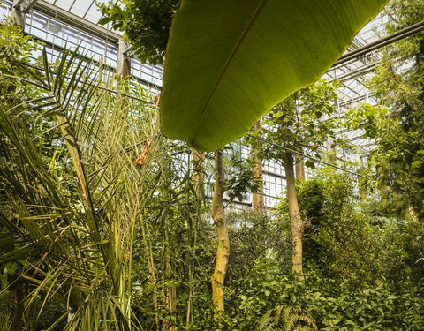 Plantentuin-53891