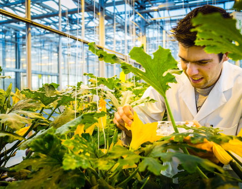 Faculteit Bio-ingenieurswetenschappen-66860
