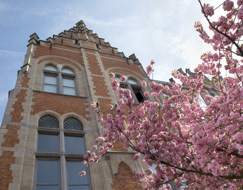 Campus Rommelaere